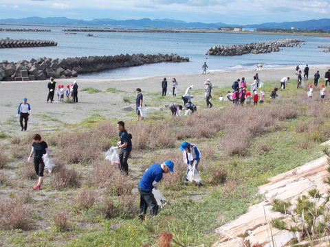 海岸清掃